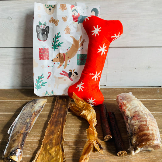 Small Dog Pawliday Chew Bag