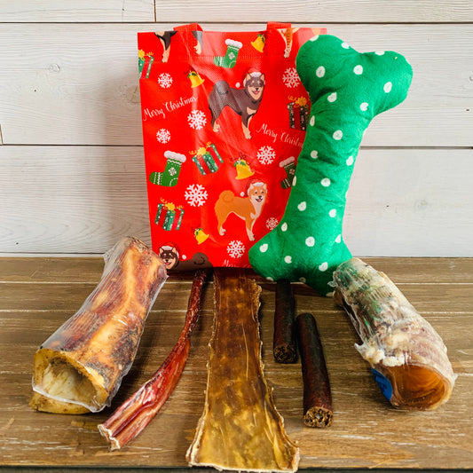 Large Dog Pawliday Chew Bag