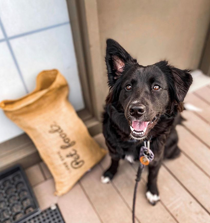 All Natural Dog Food Delivery Cleveland Ohio Lake Erie Pet Food Co.