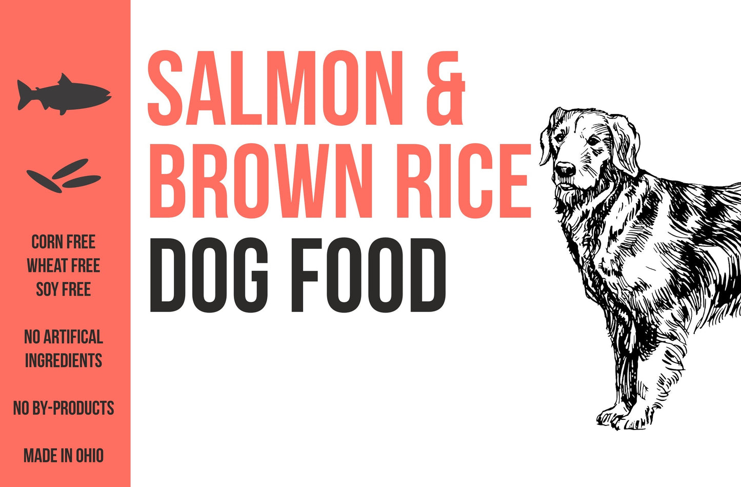 Salmon & Brown Rice