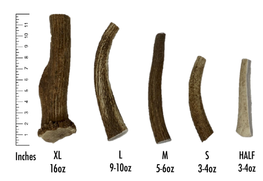 ELK ANTLERS