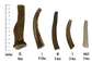 Elk Antlers